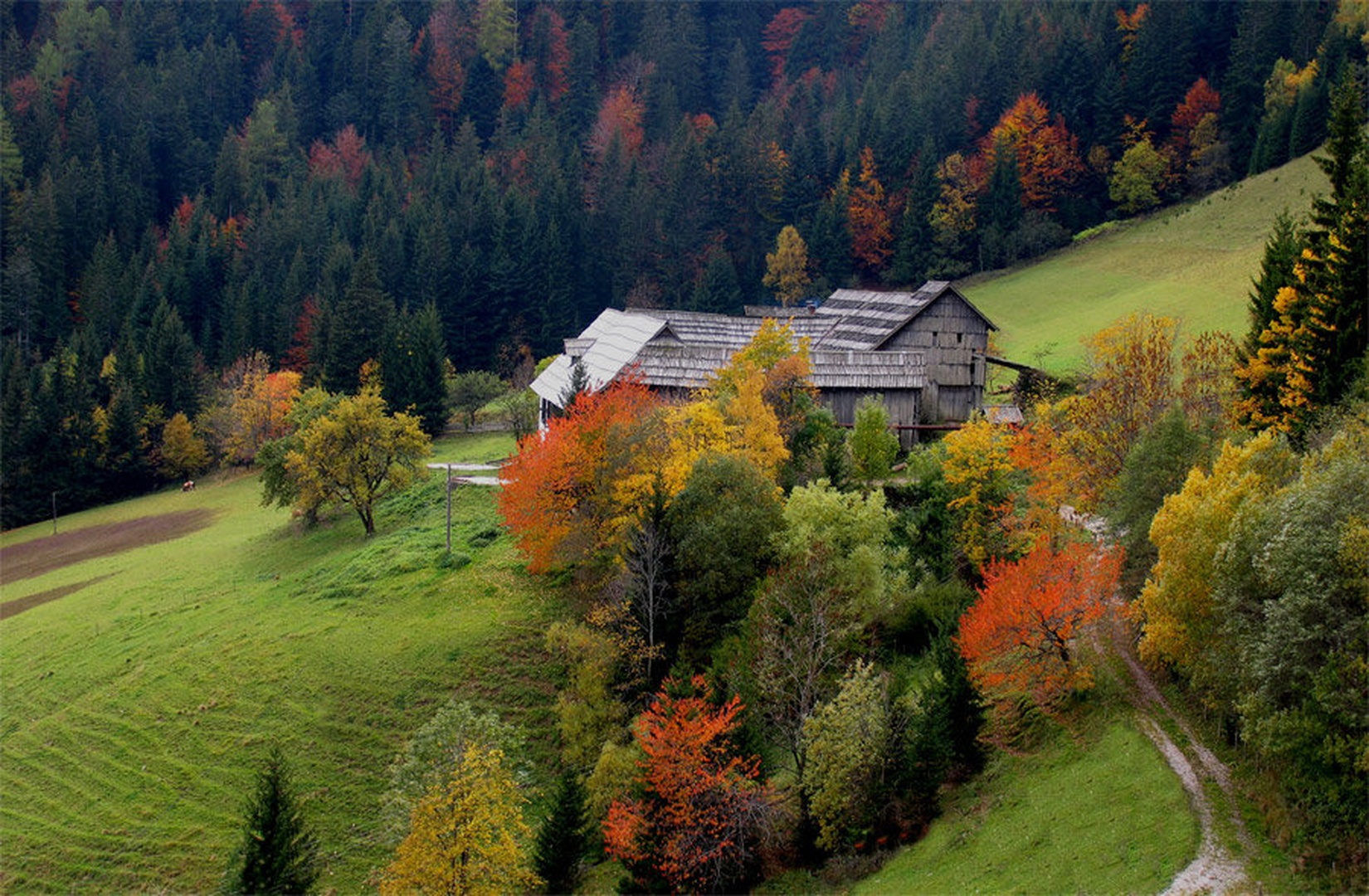 Jesenska pripoved by