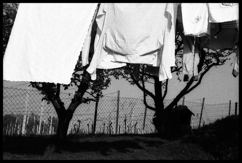 Laundry by Mojca Pišek