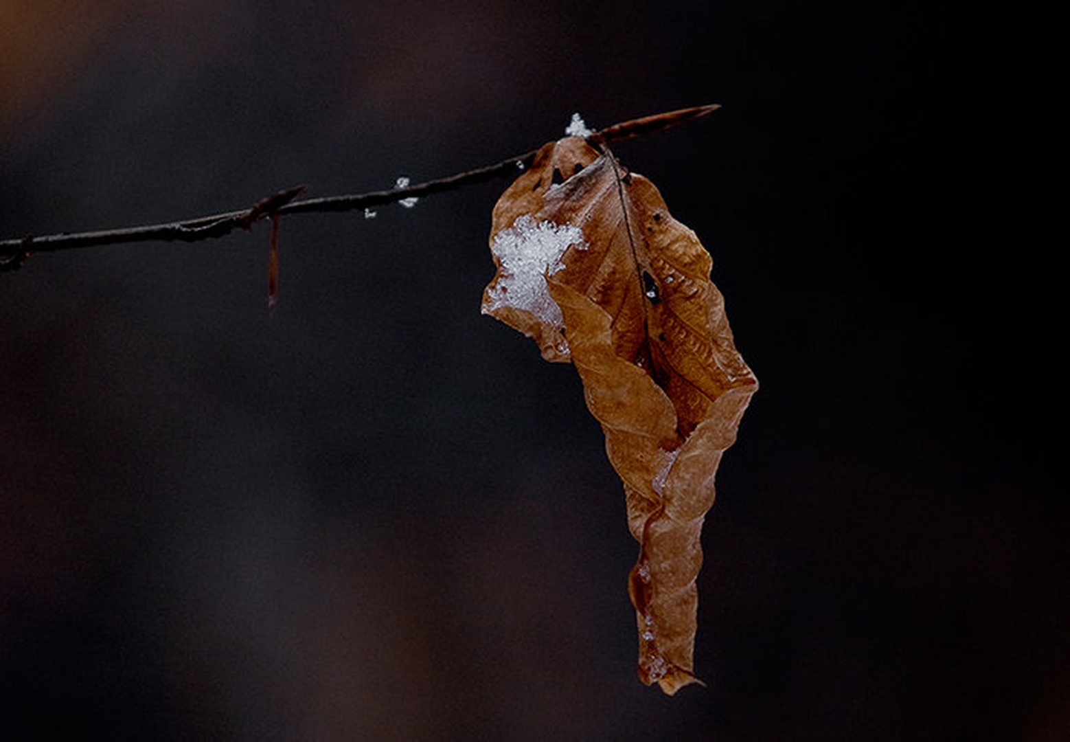Freezing by