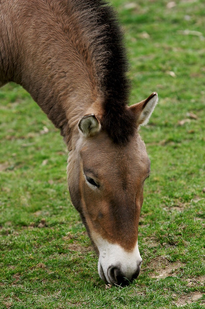 Mahlzeit by
