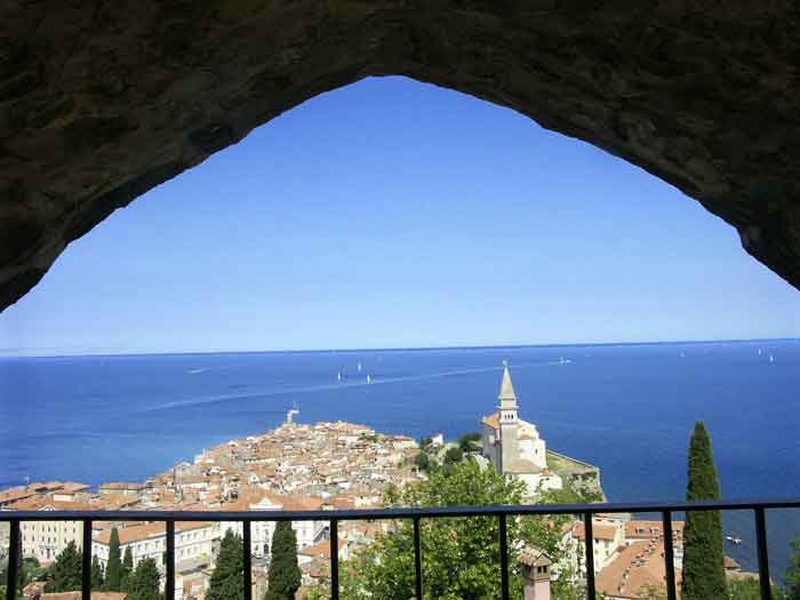 Piran by pilič