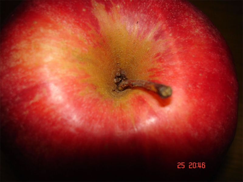 Fresh Apple by Taylor
