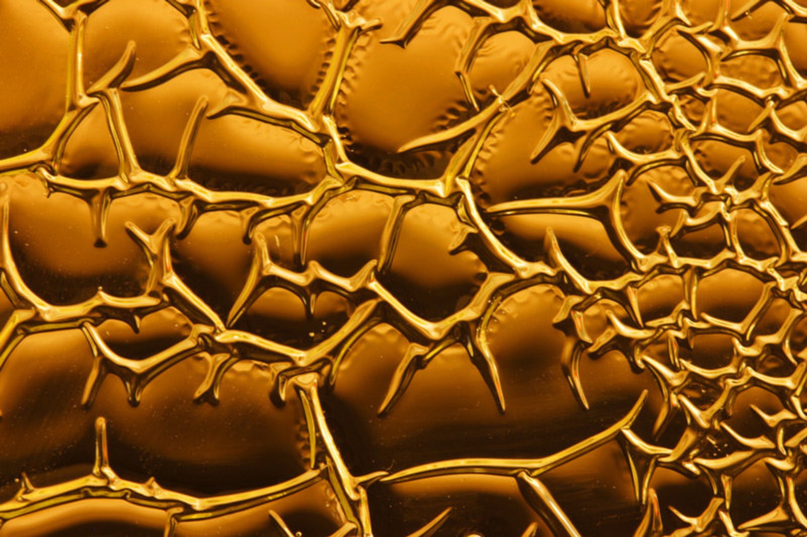 golden by