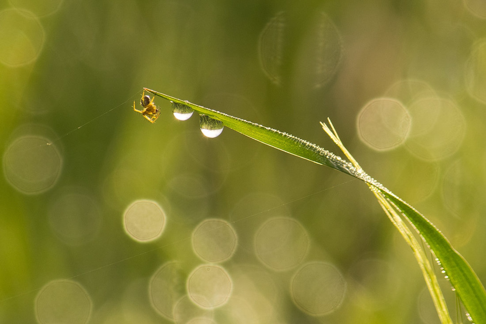 Moje jutro by Tine Mažgon