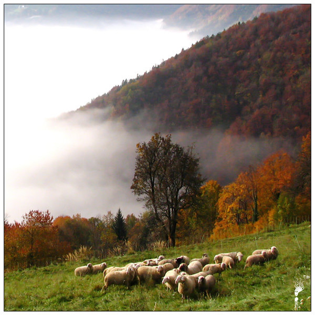 September je! by Tine Mažgon