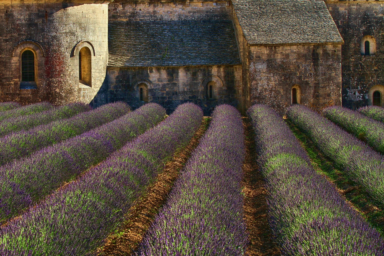 Lavanda 7 by vlado bucalo