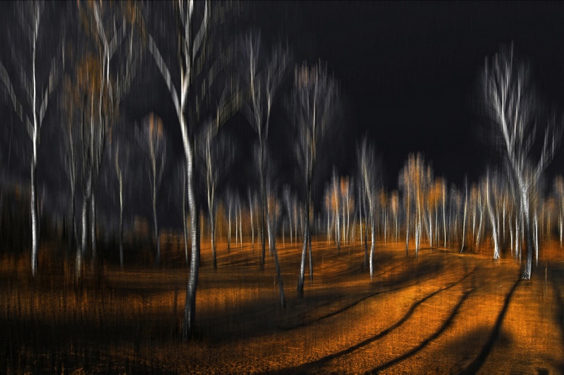 Šelestenje 05 by vlado bucalo