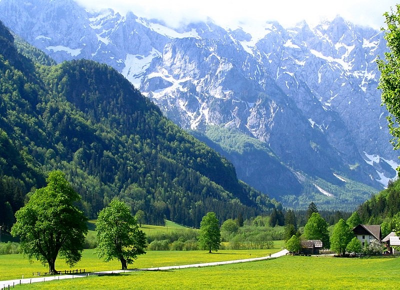 Logarska dolina by Primož Draksler