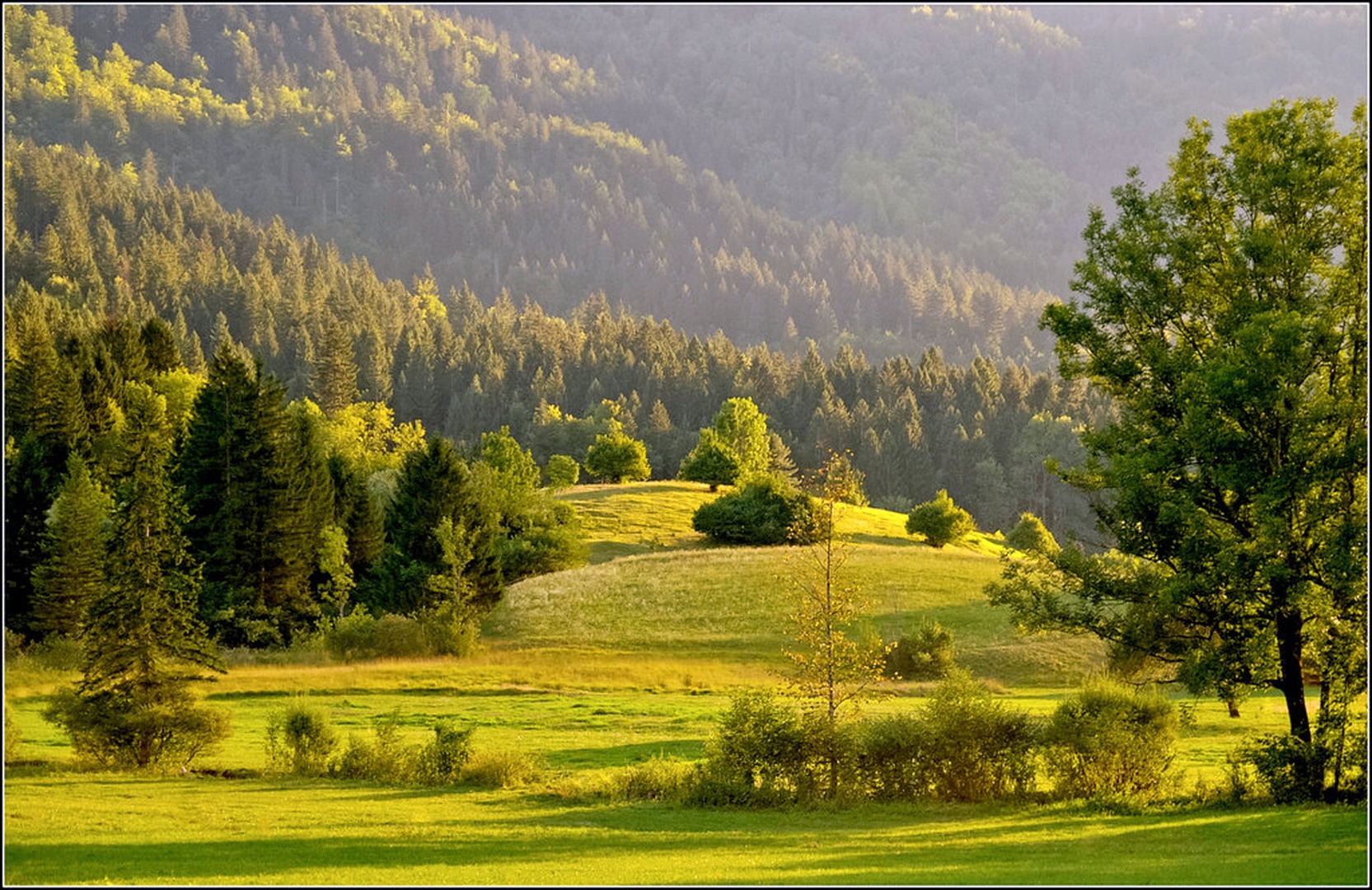 poslednji žarki by racman