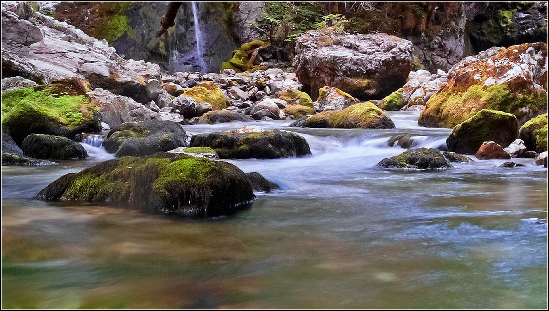 Bistrica by racman