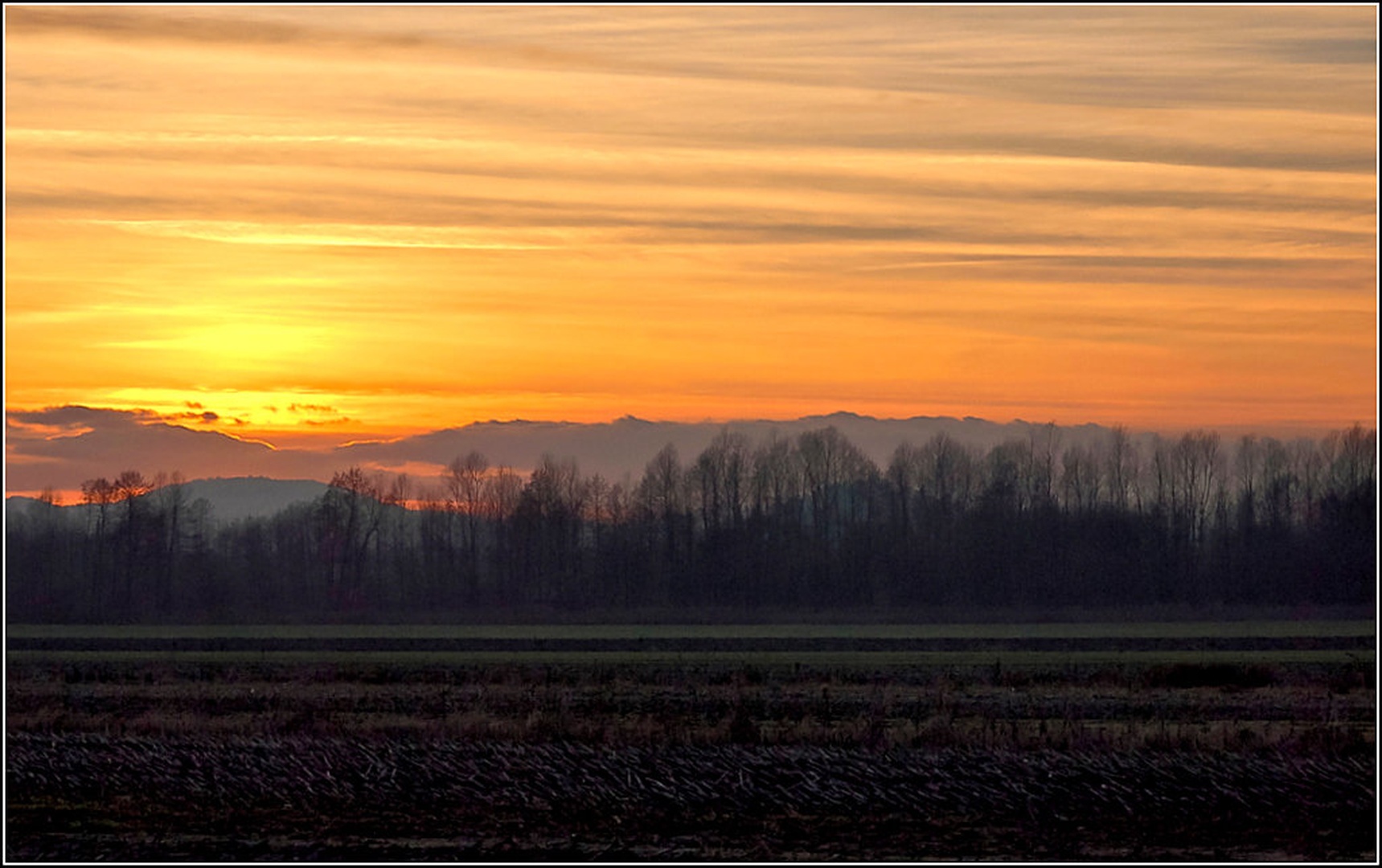 linije by racman