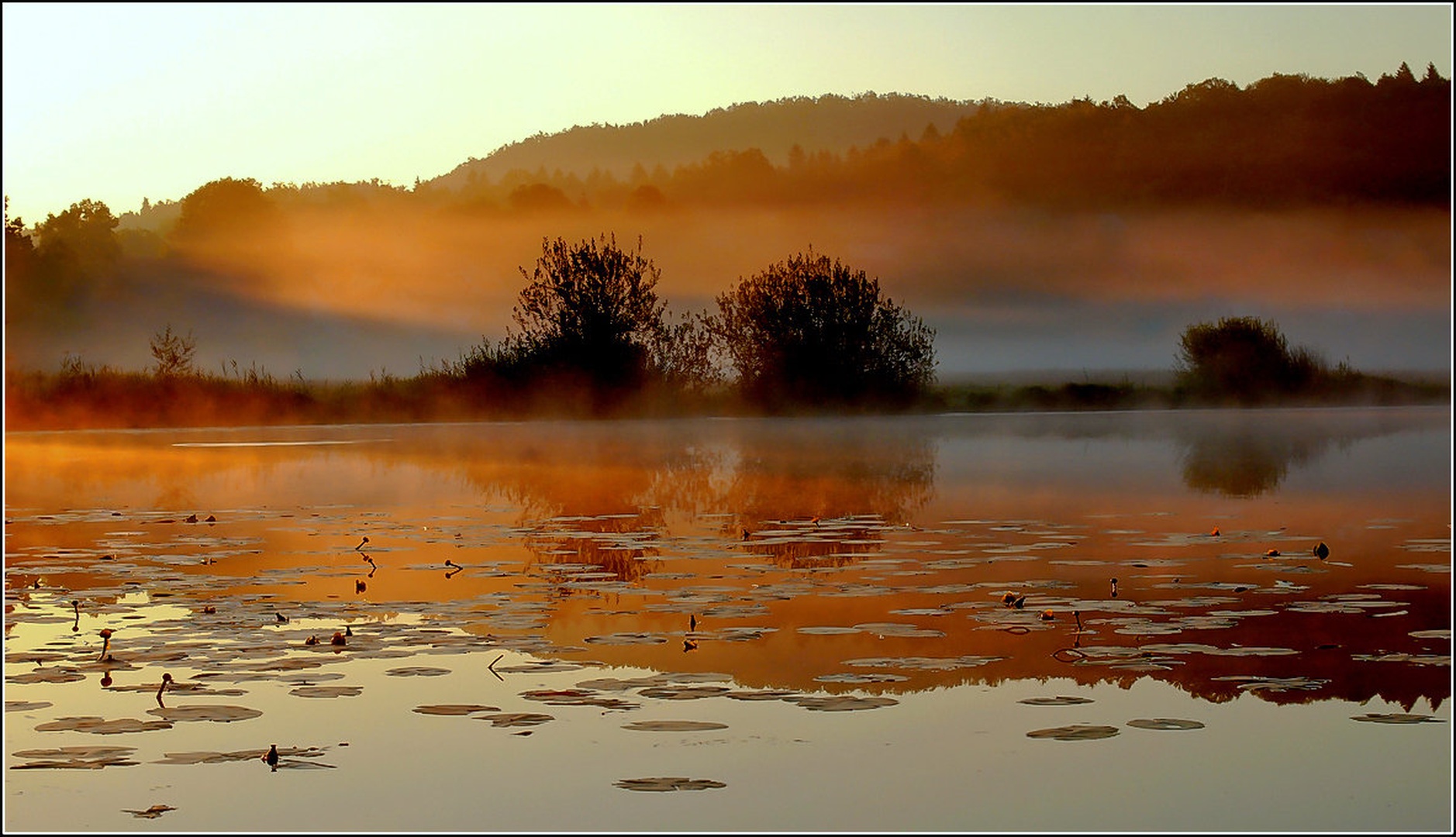 jutro by racman