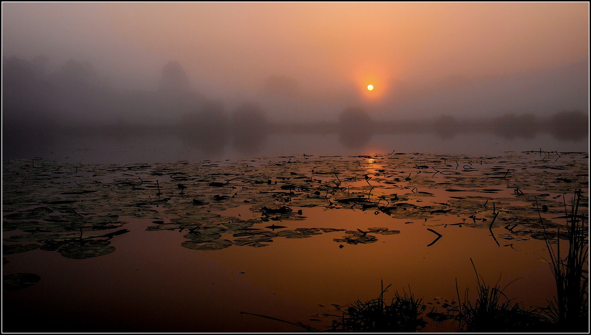 jutro ob Jezeru by racman