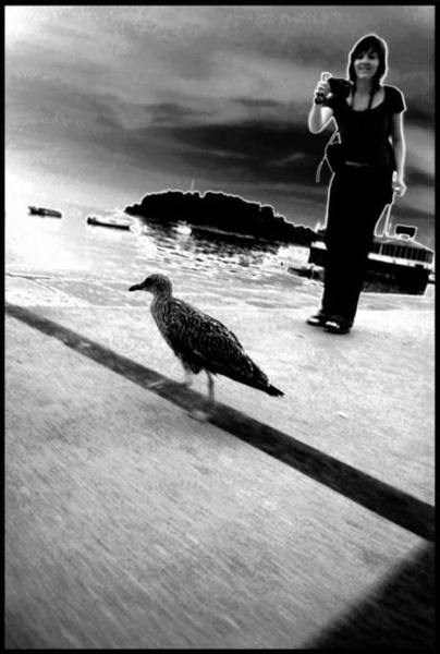 WALK THE LINE by branimir