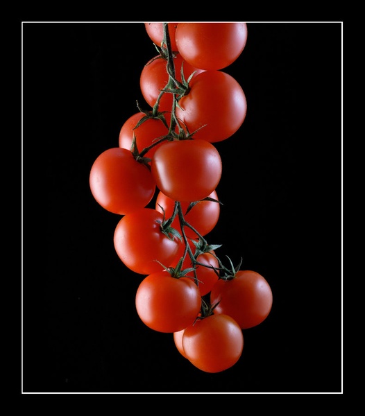 Los Tomatos by Gregor Sečen