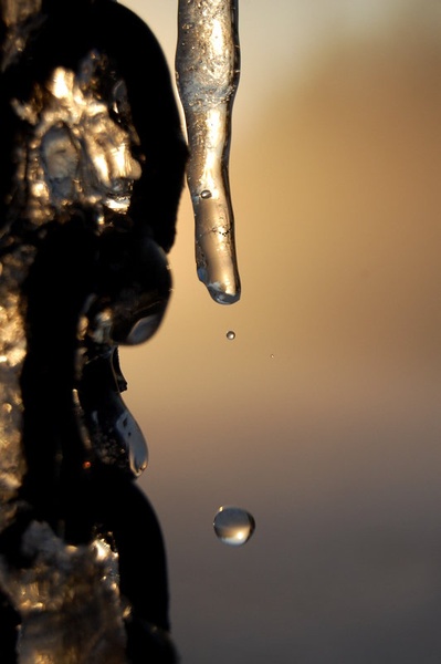 In a minute droplet the World is turned upside down by Klasja Kovačič