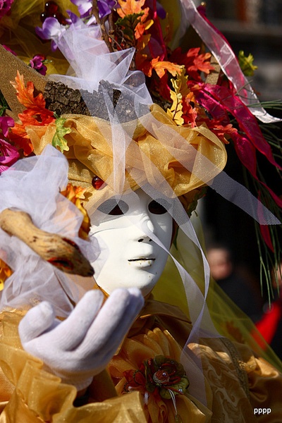 fiera in maschera VII. by pppp