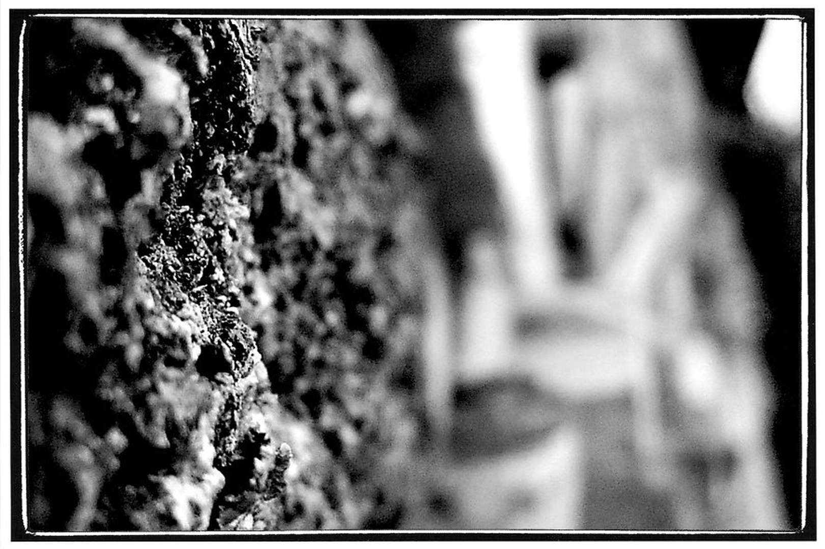 Lubje by