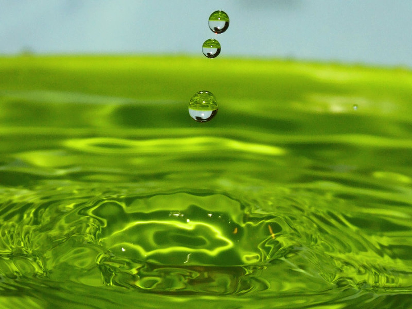 Drops by grega rus