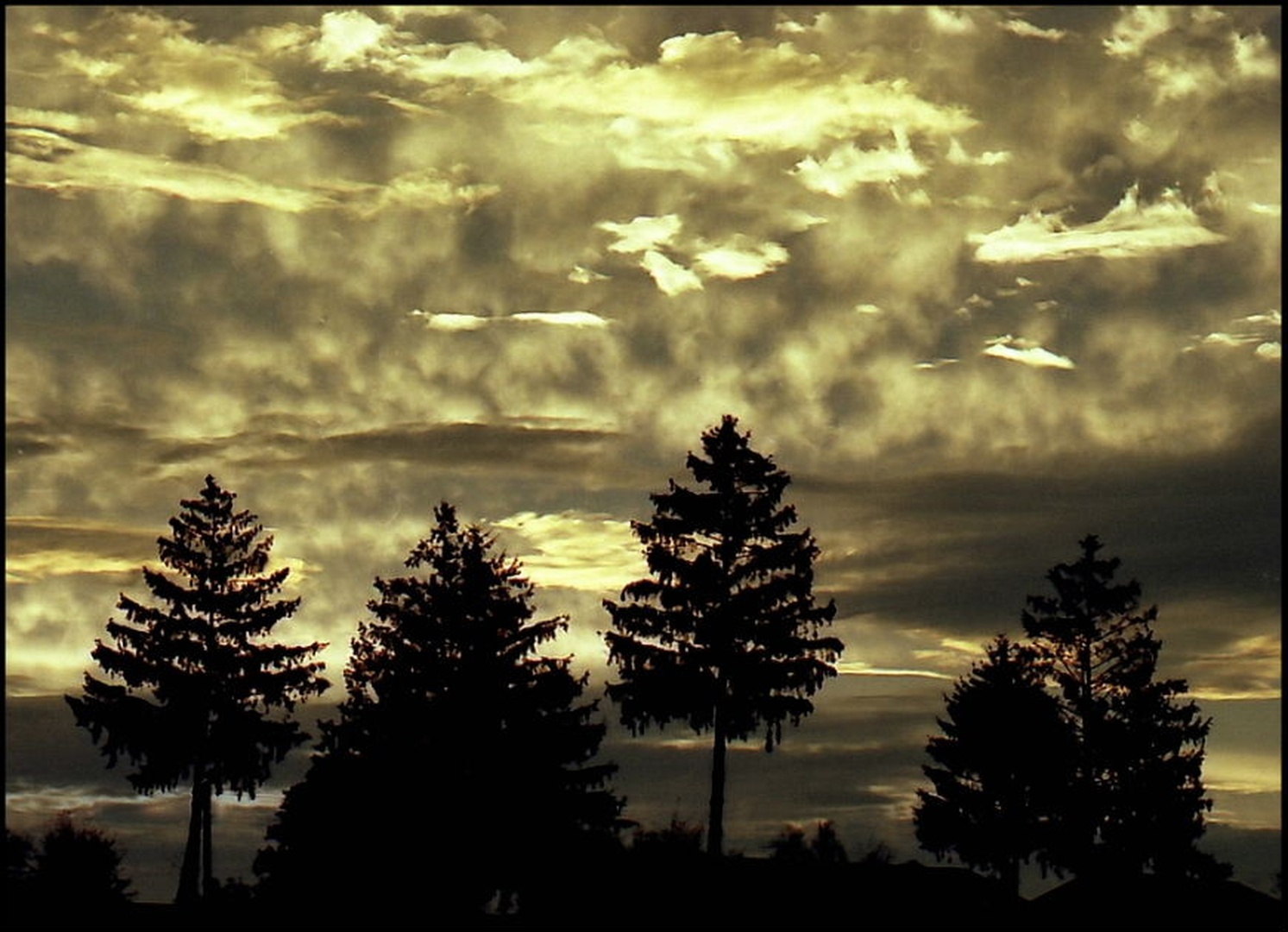 scena 1 by