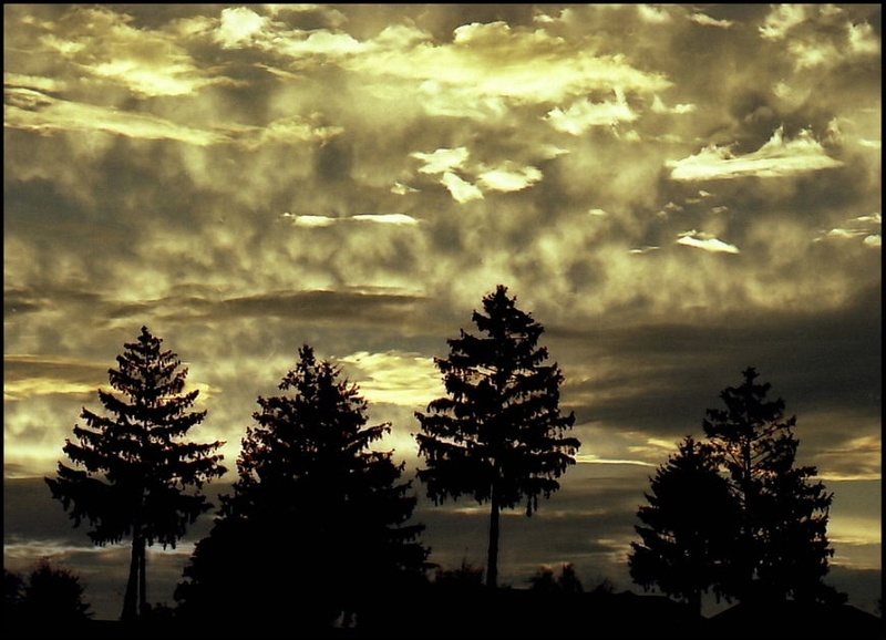 scena 1 by nasya