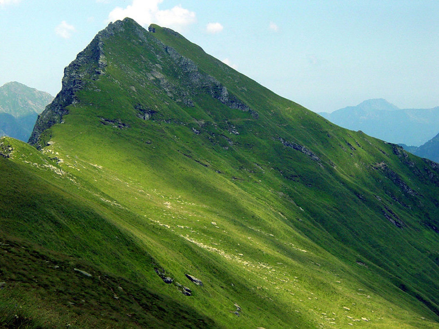 Poševni svet by