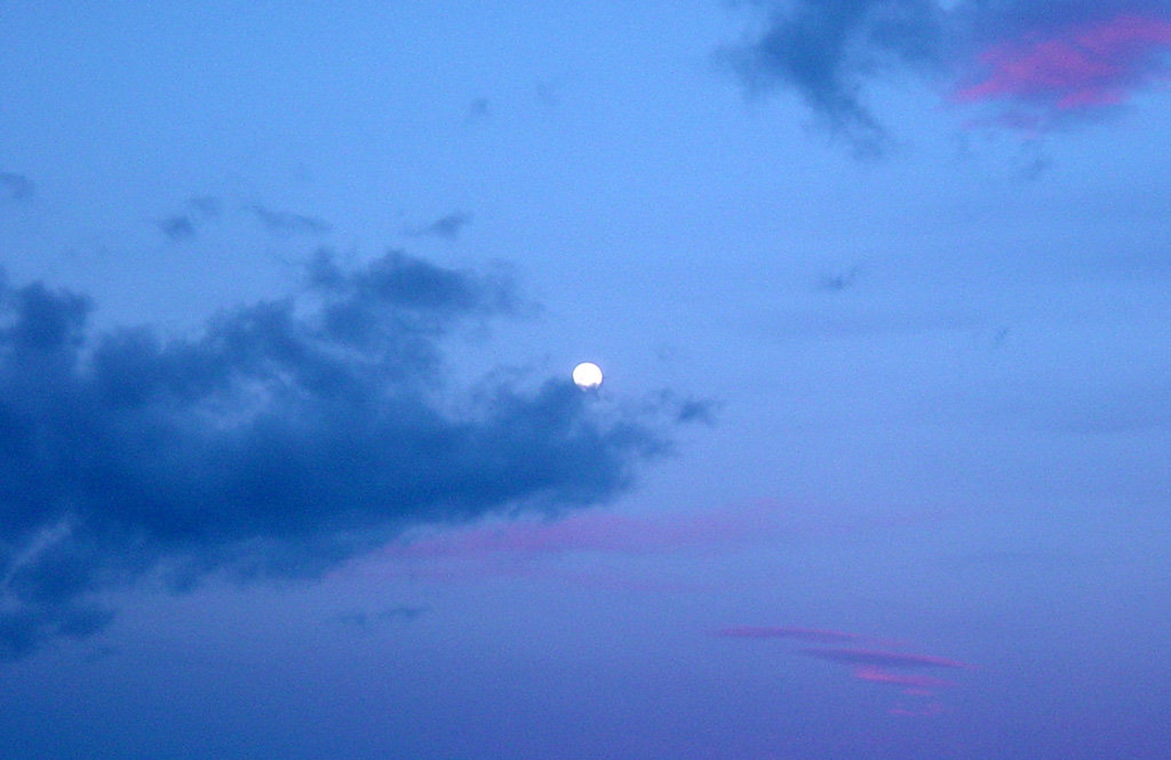 Bitter moon by