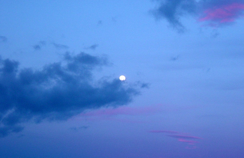 Bitter moon by Taisha
