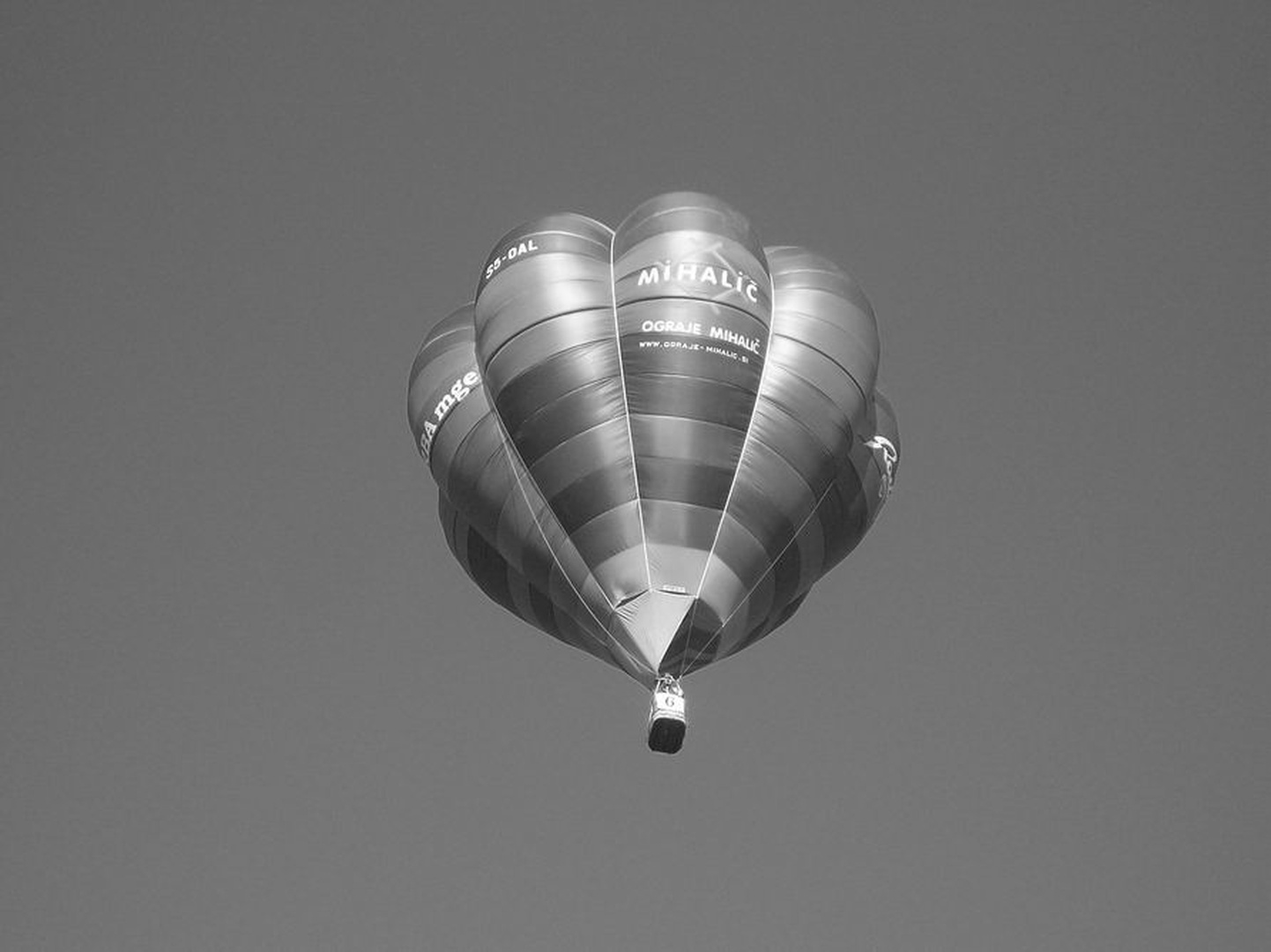Balonarska noč na Ptuju by Mitja Ciglar