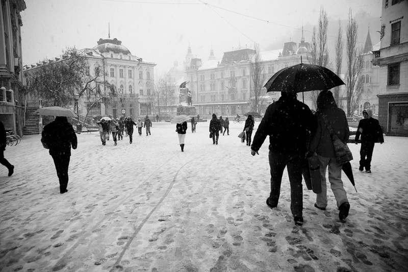 Po beli Ljubljani by Primož Vintar