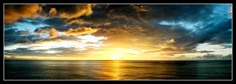Panorama by buffalo