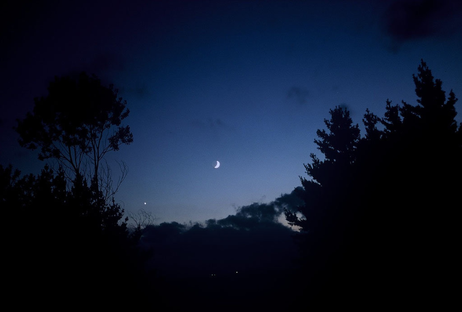 luna by