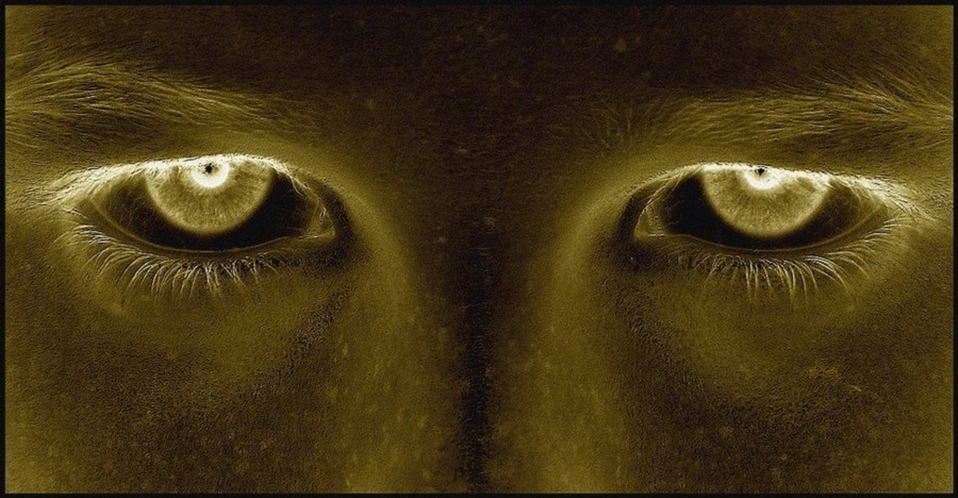 Watching you... by Boštjan Podlogar