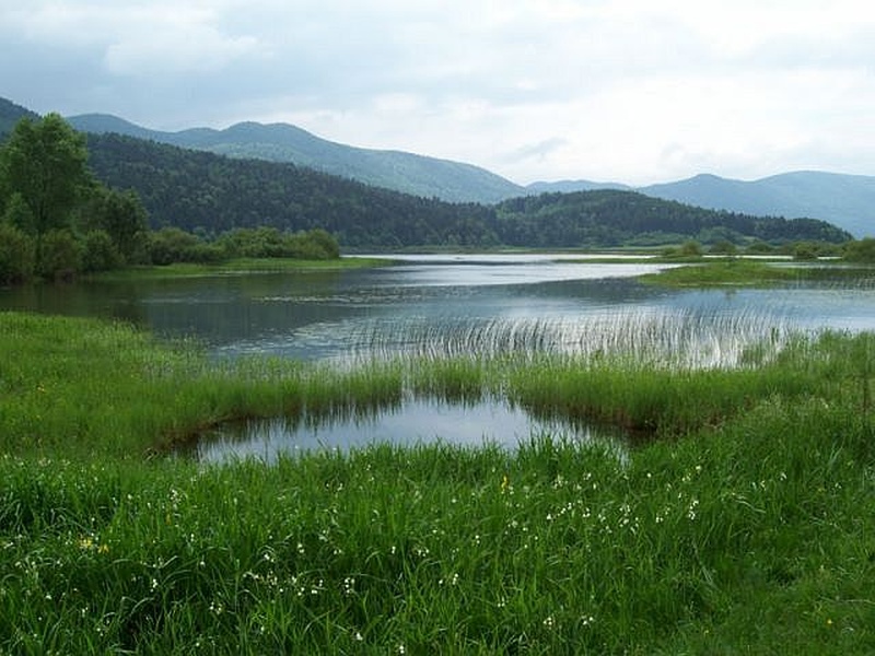 Cerkniško jezero by maja