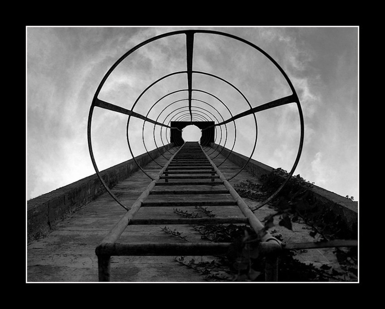 Stairway to heaven by Jaka Suln