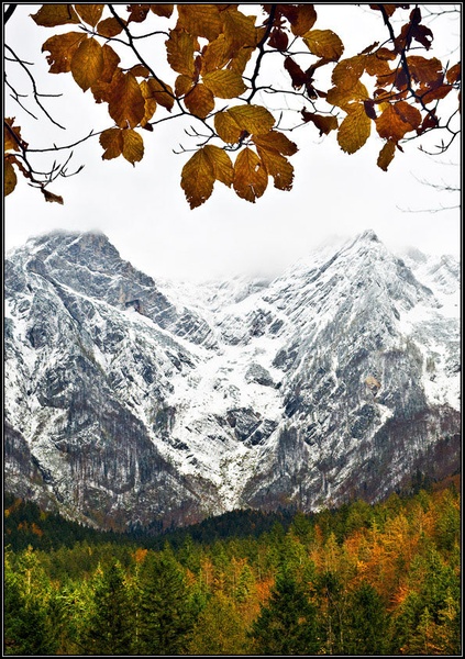 Pozni Oktober by Aleš Arnšek