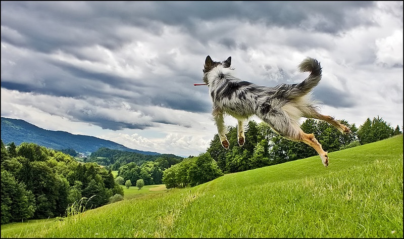 I'm gonna fly to the sky... by Maja Rokavec