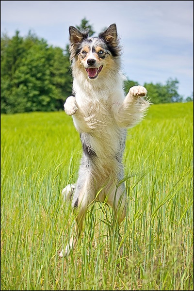 I am the dancing queen... by Maja Rokavec
