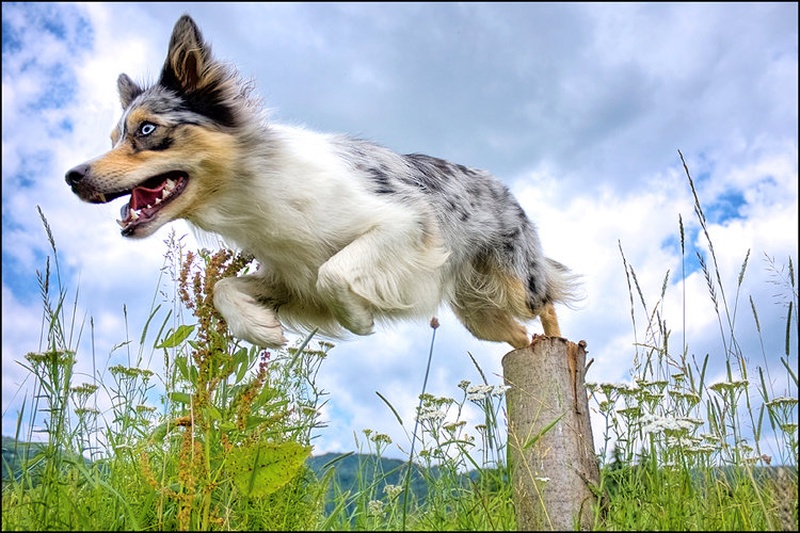 Juuuump. by Maja Rokavec