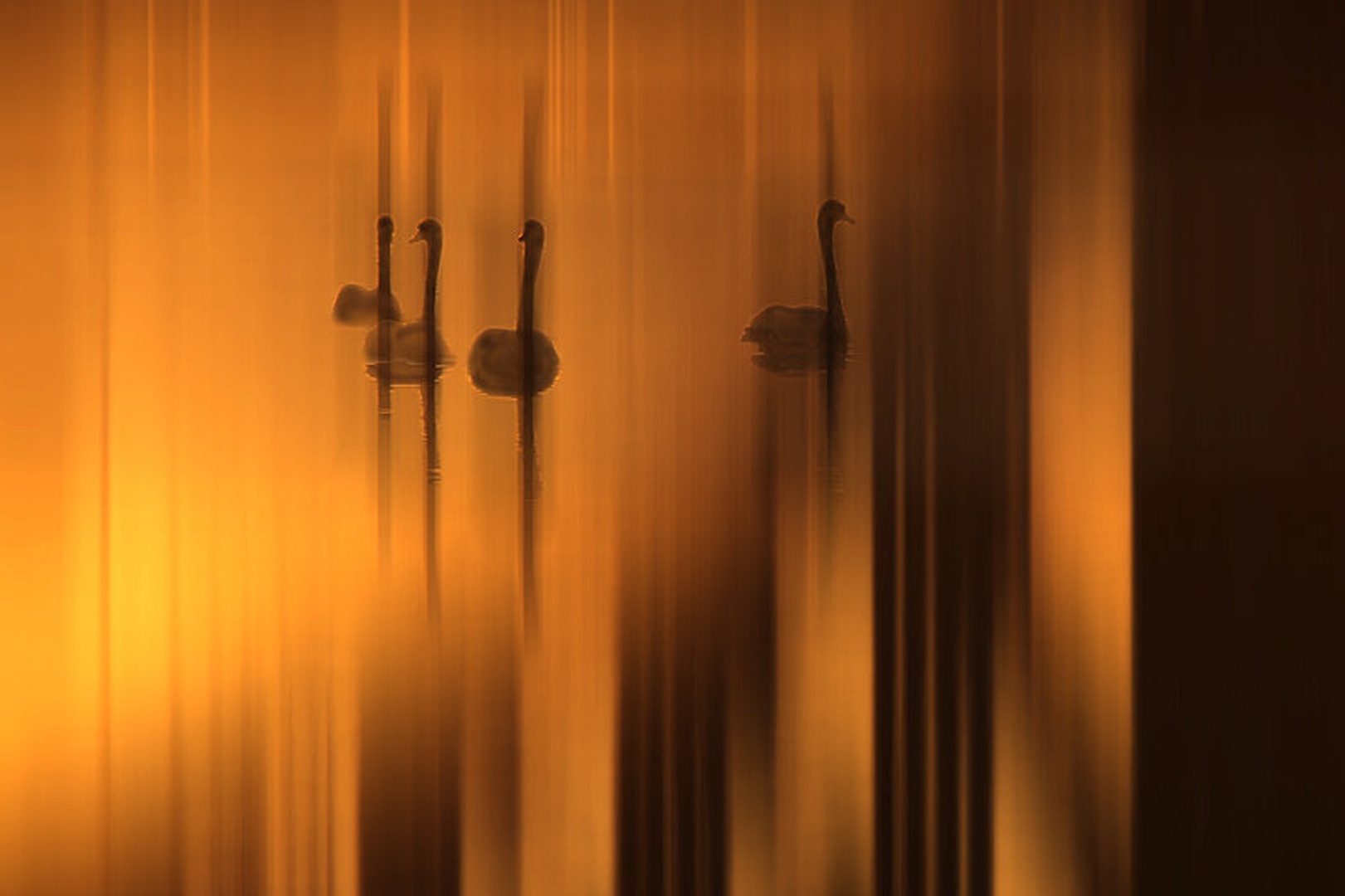 Sunrise by Mitja Vodušek