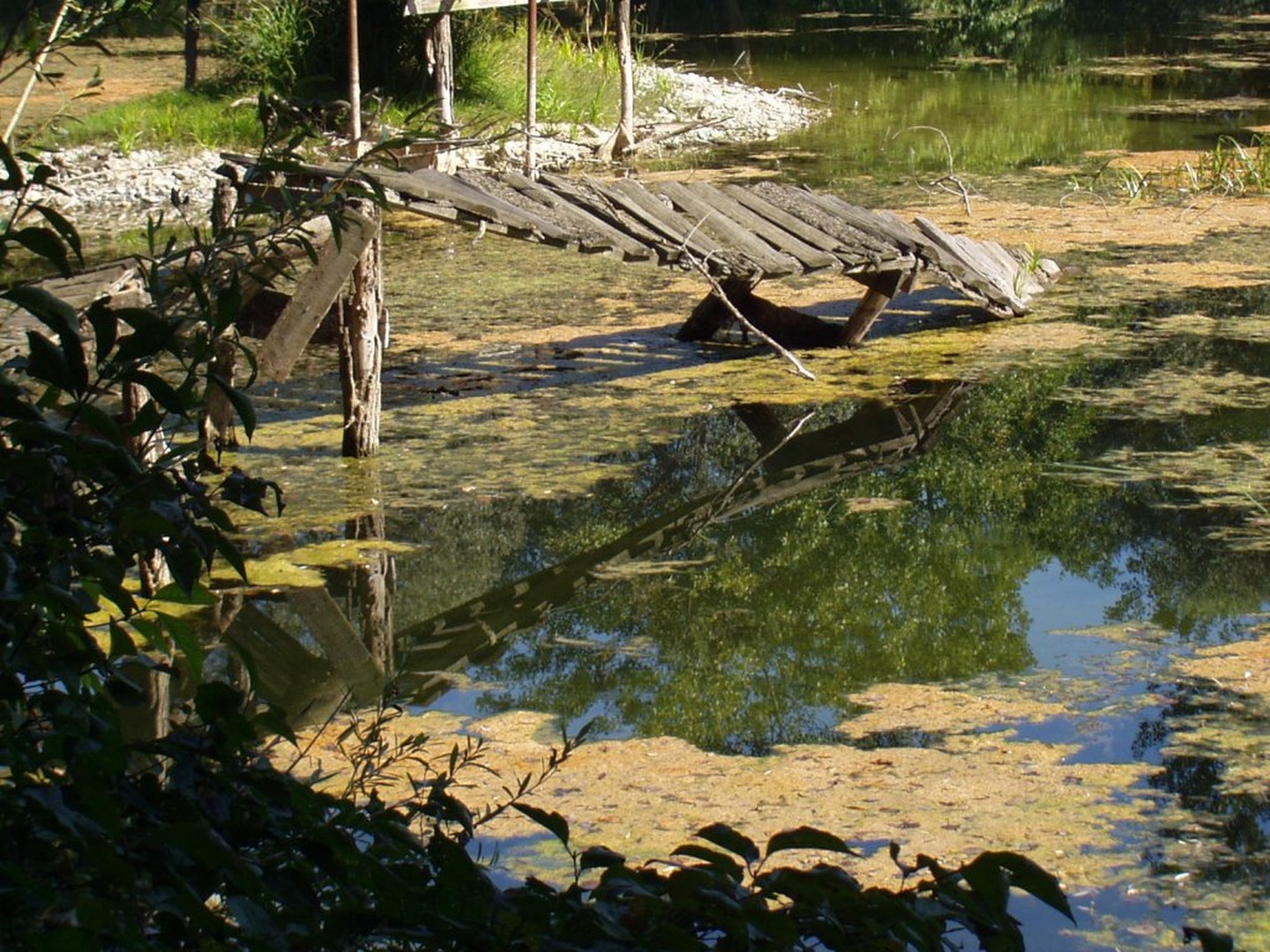 Zob časa by Mitja Vodušek