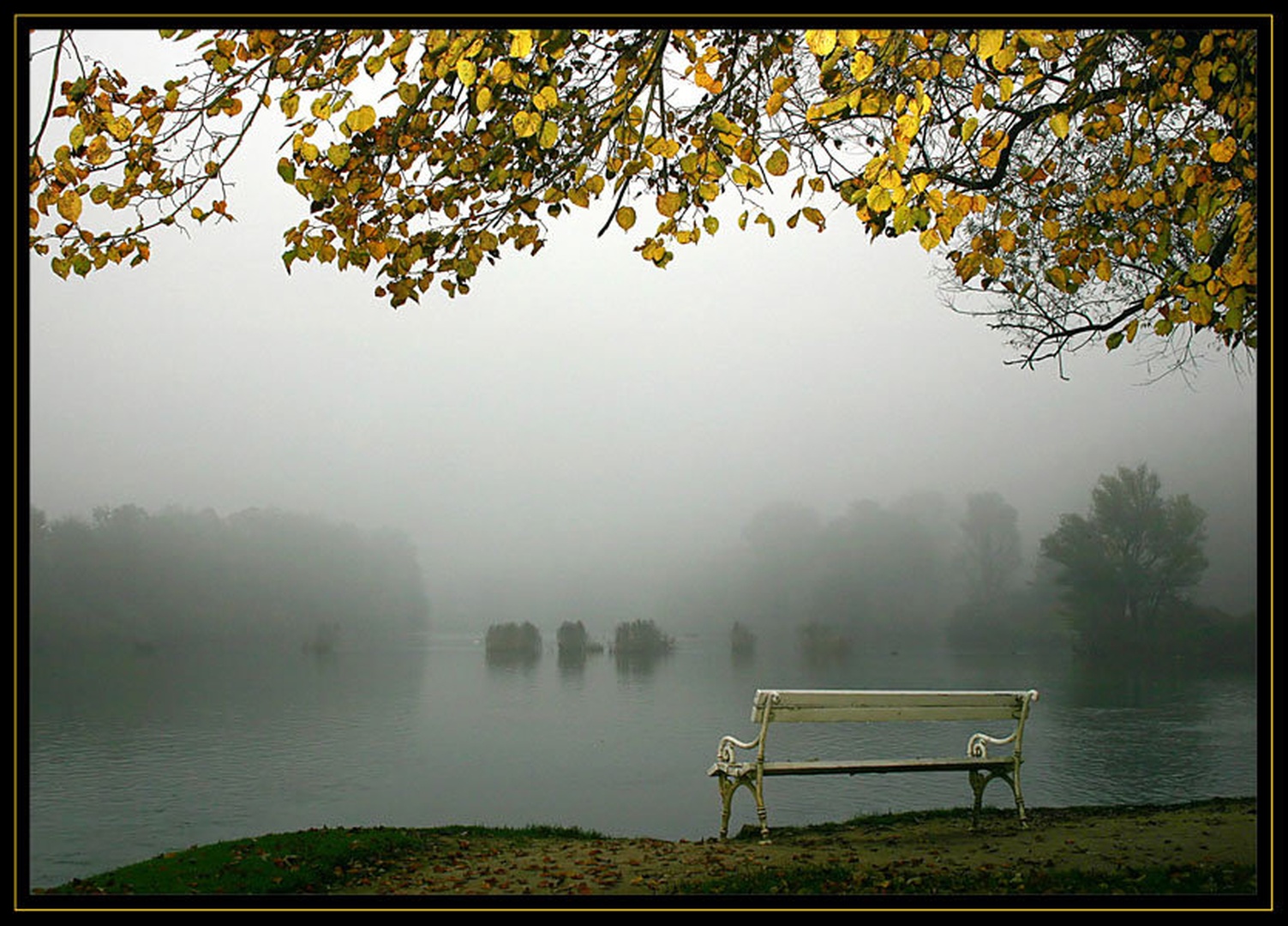 Zaspano megleno jutro 2 by Mitja Vodušek
