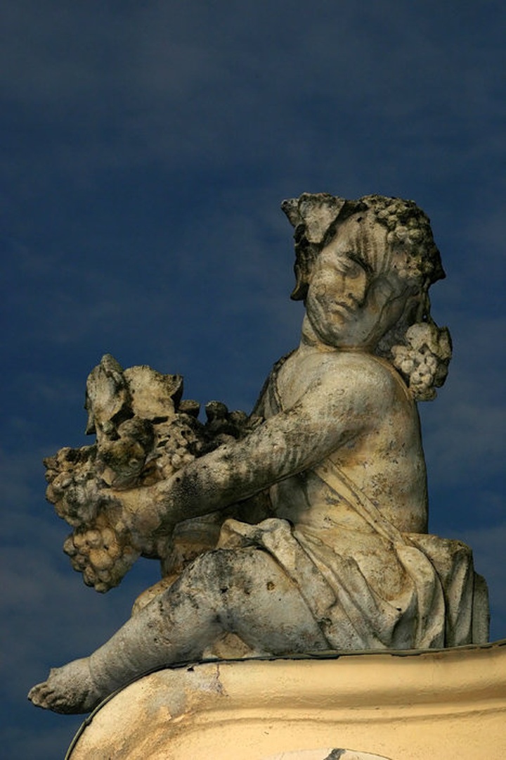 Naj vas čuva vinski angel! by Mitja Vodušek