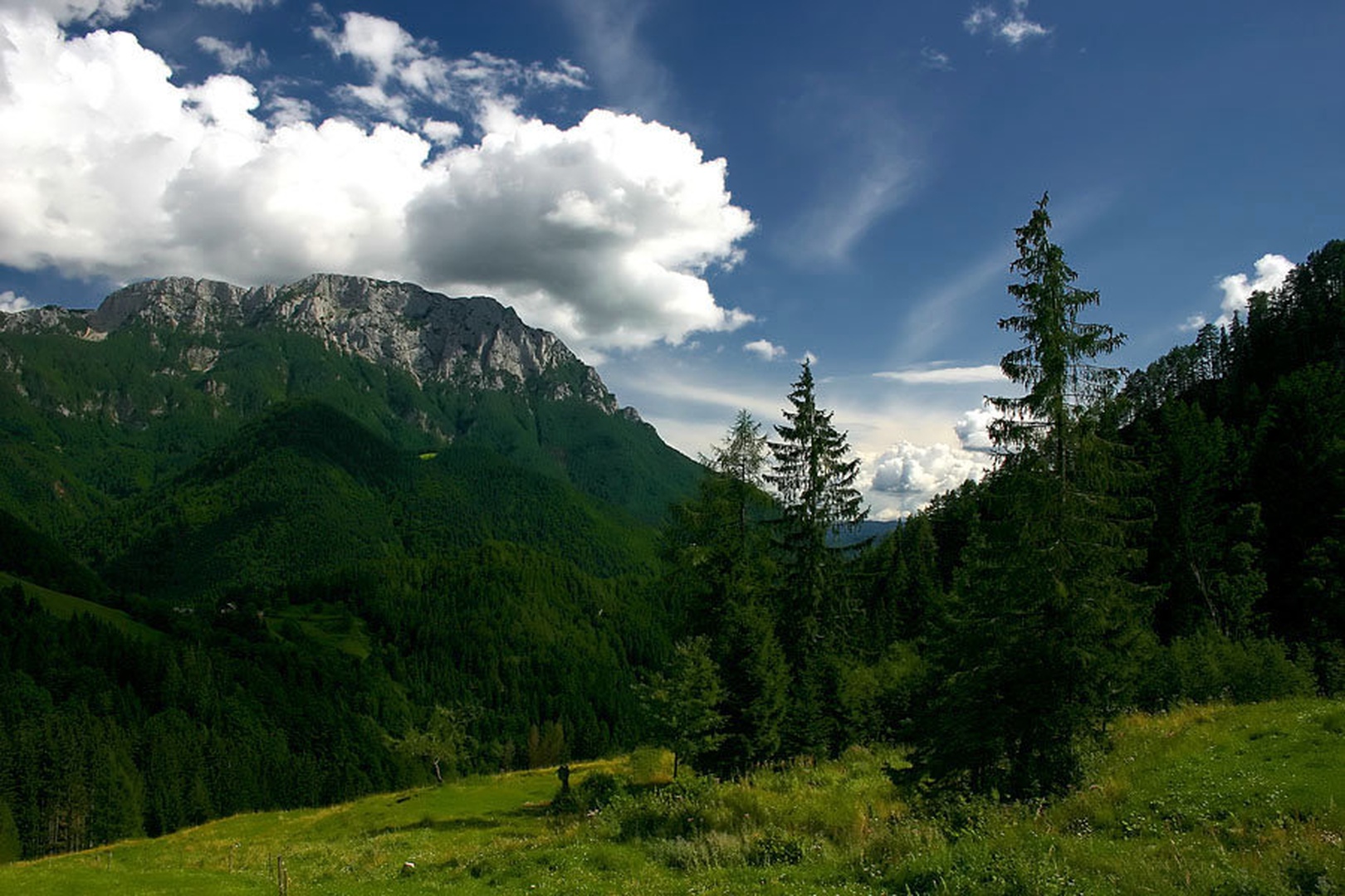 Pogled na Raduho by Mitja Vodušek