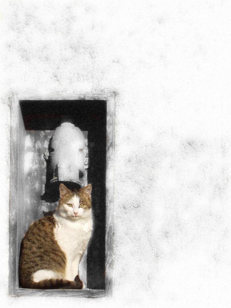 Slika v sliki No:2 by Mitja Vodušek