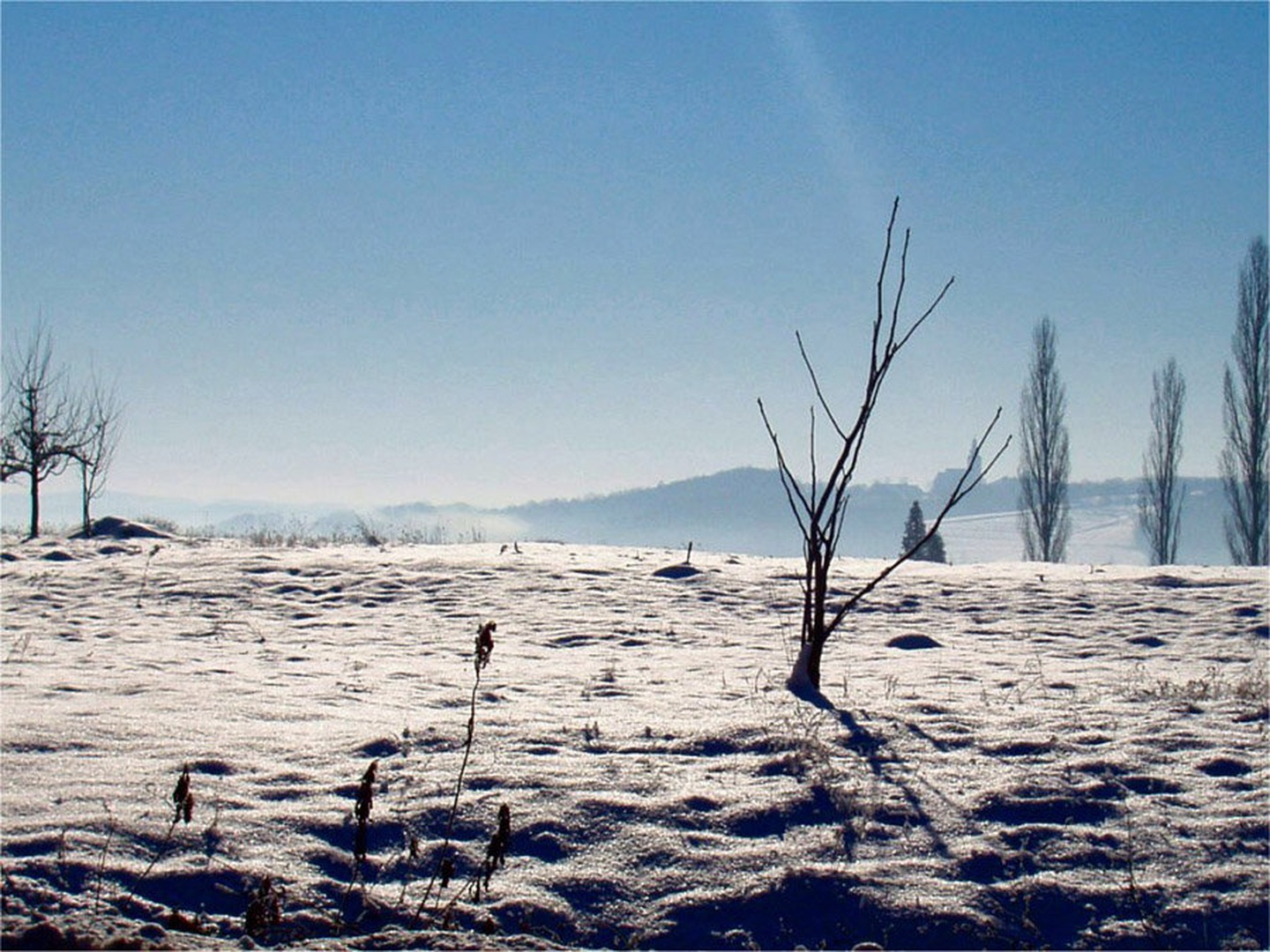 Snežna idila by Mitja Vodušek