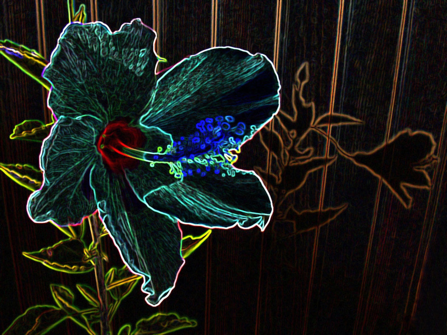 Hibiskus in njegova senca by Mitja Vodušek