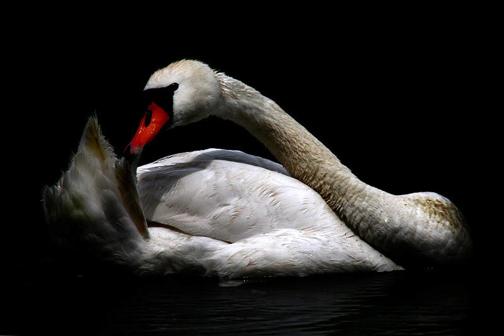 Osebna higiena by Mitja Vodušek