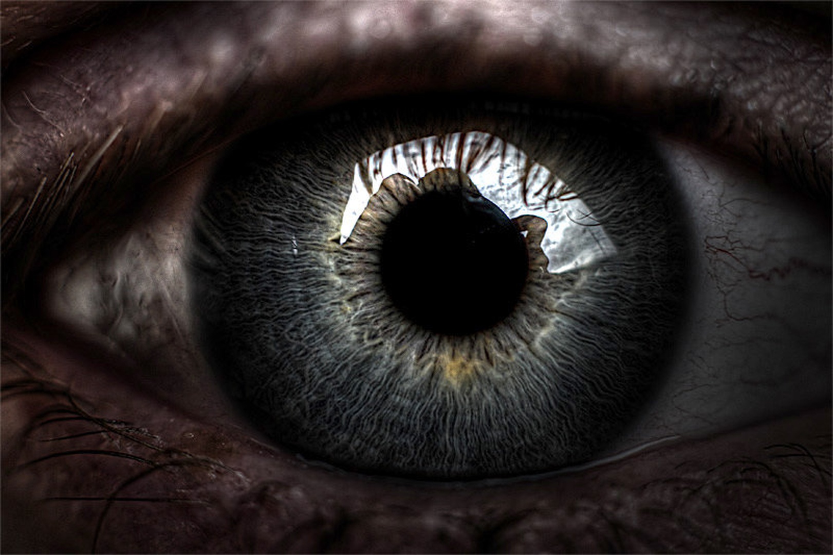 The eye! by Mitja Vodušek