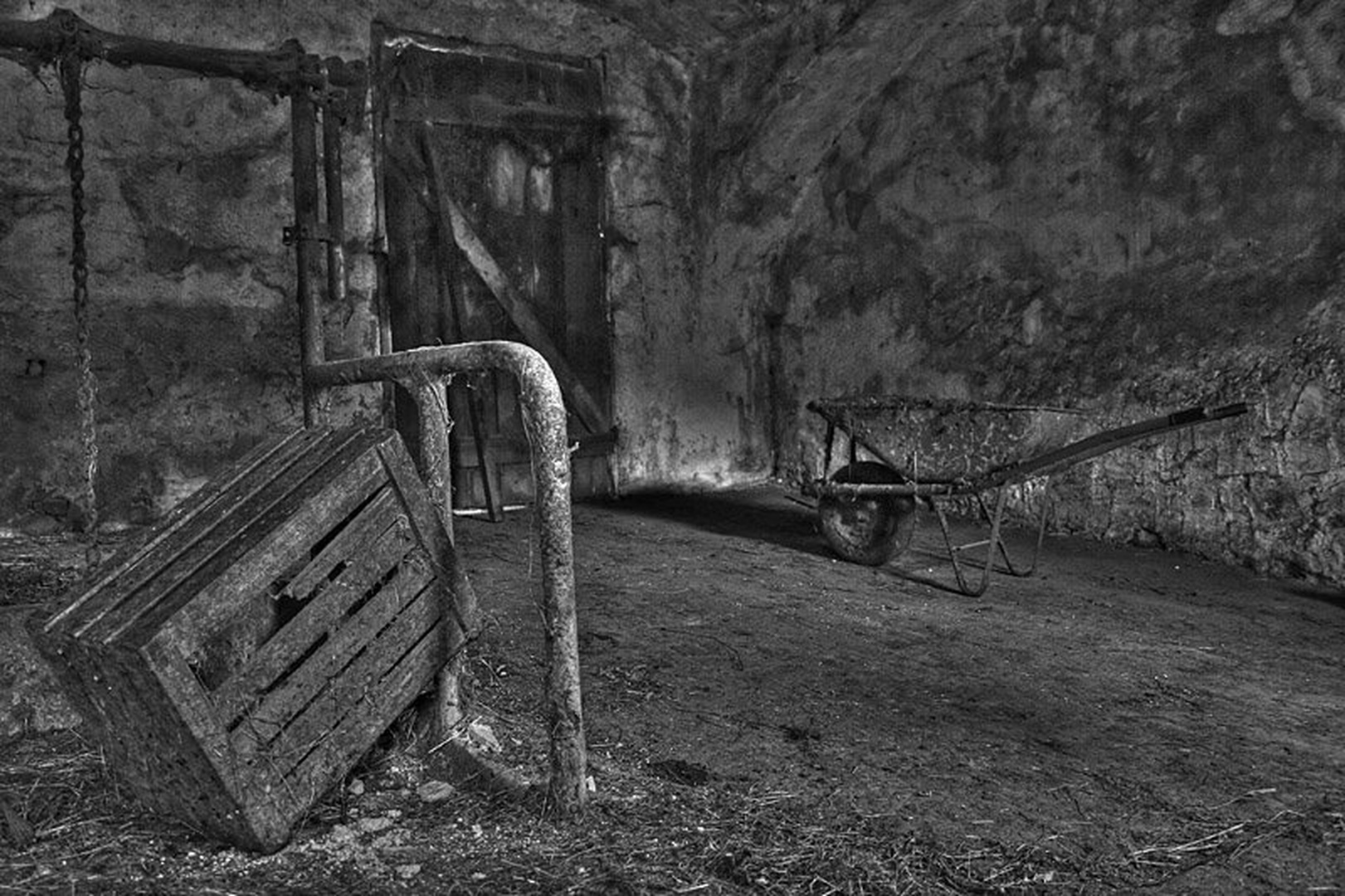 V hlevu 2 by Mitja Vodušek